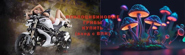 трава Каменка