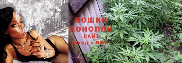 трава Каменка